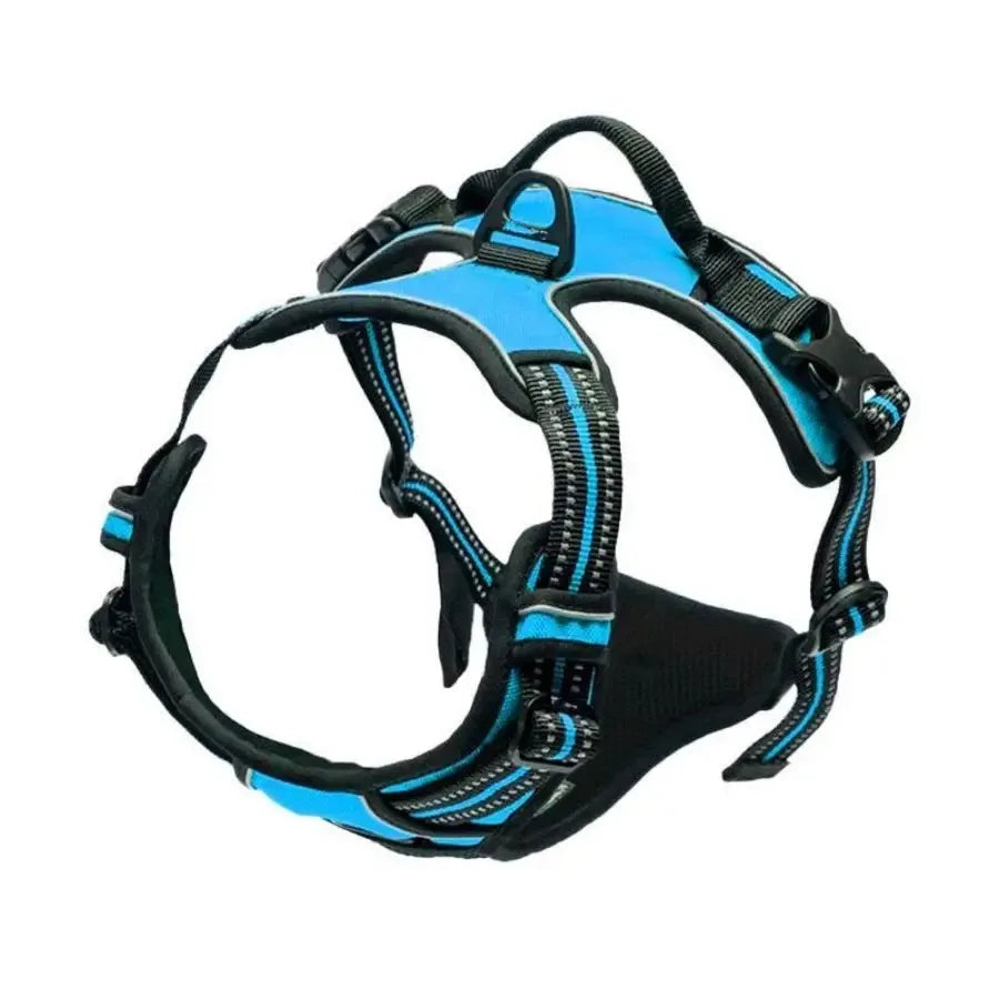 Collari per cani Imbracatura Gilet grandi Guinzaglio Negozio di animali Tutto per cani Accessori per cuccioli in pelle Set medio piccolo