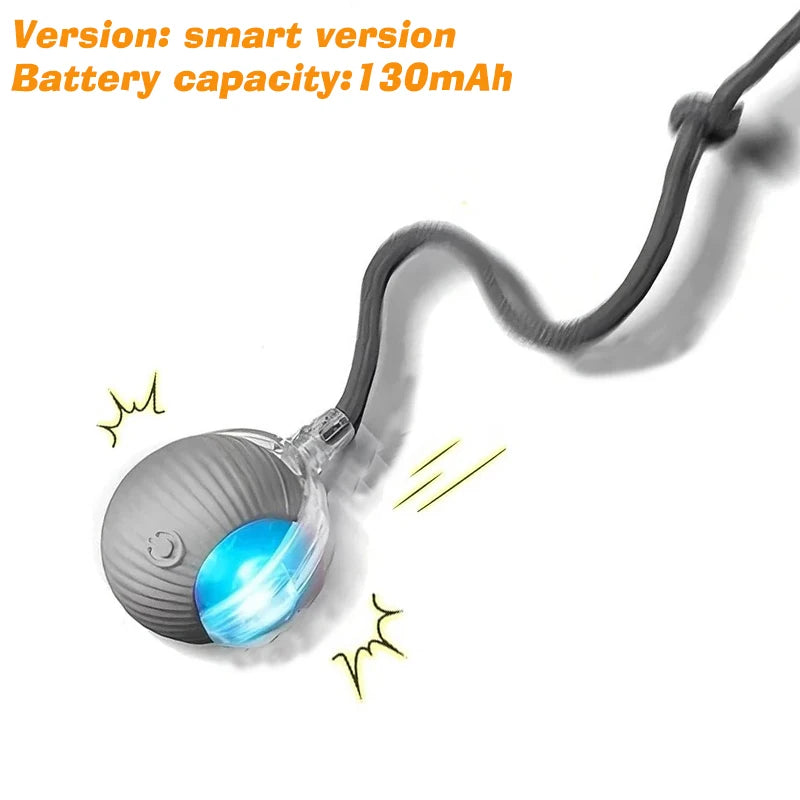 New Dog Interactive Ball Toy