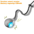 New Dog Interactive Ball Toy