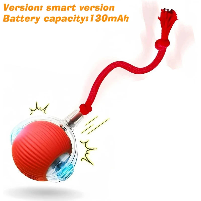 New Dog Interactive Ball Toy
