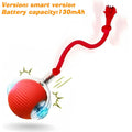 New Dog Interactive Ball Toy
