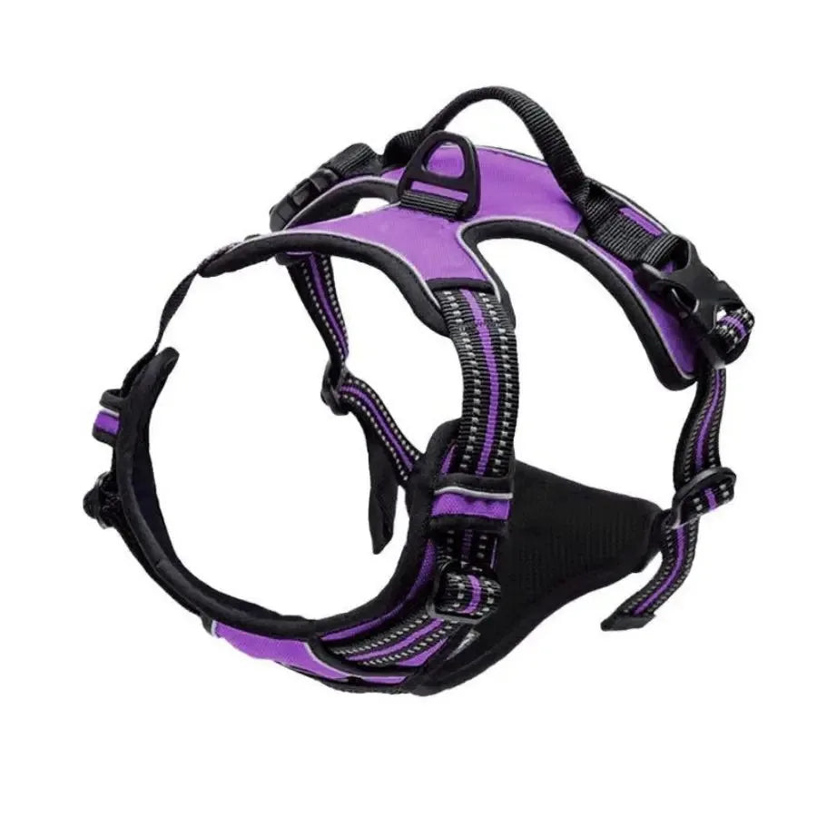 Collari per cani Imbracatura Gilet grandi Guinzaglio Negozio di animali Tutto per cani Accessori per cuccioli in pelle Set medio piccolo