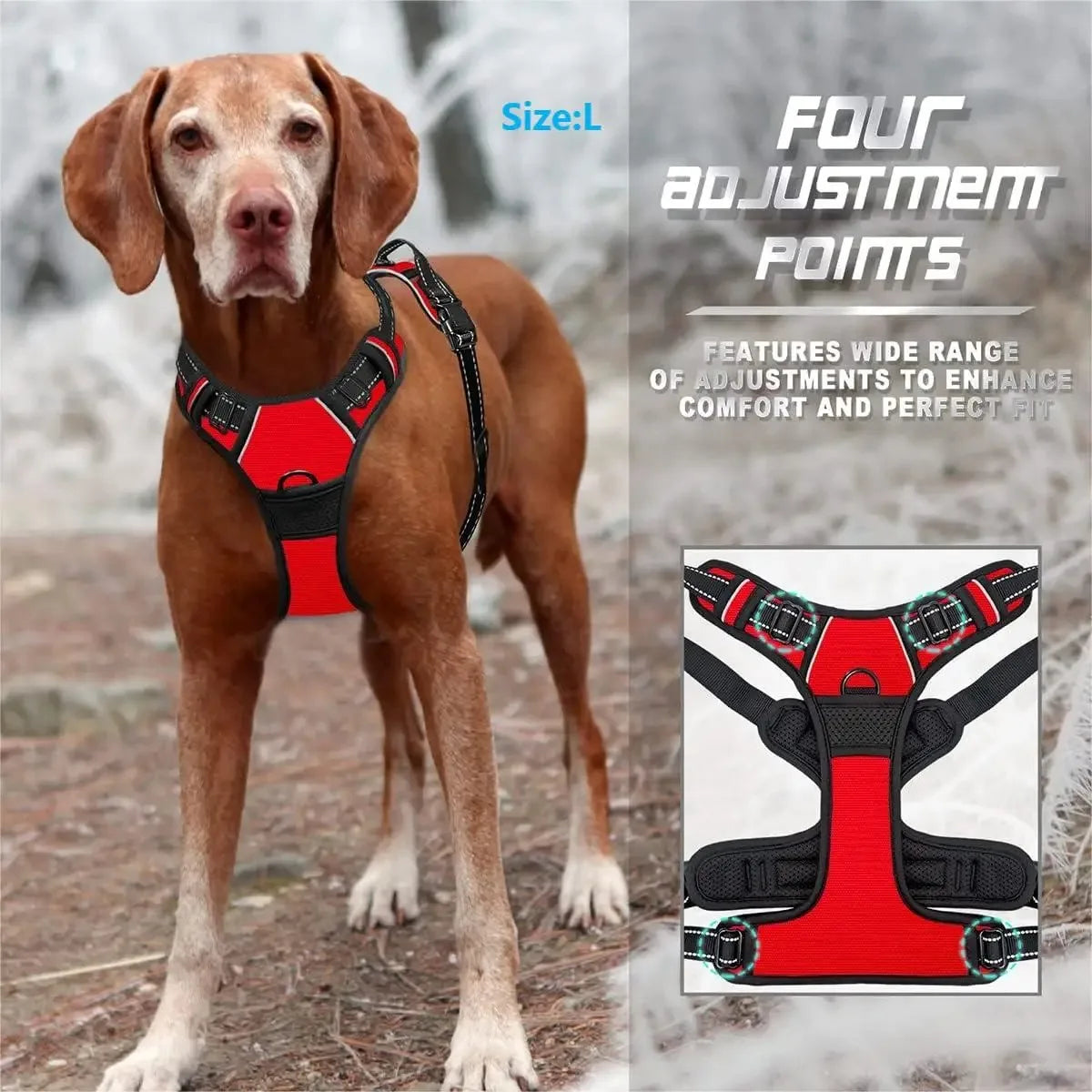 Collari per cani Imbracatura Gilet grandi Guinzaglio Negozio di animali Tutto per cani Accessori per cuccioli in pelle Set medio piccolo