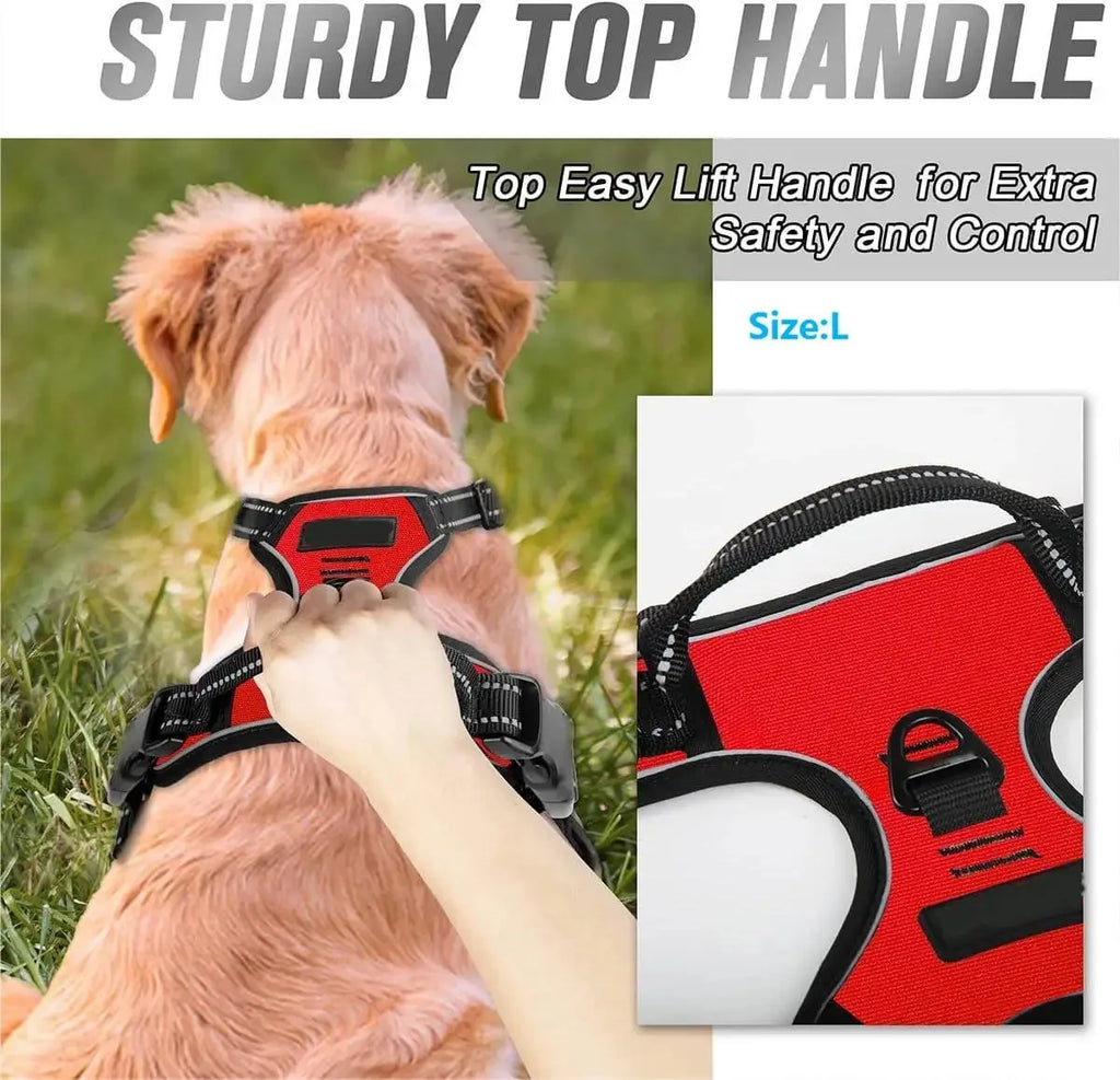 Collari per cani Imbracatura Gilet grandi Guinzaglio Negozio di animali Tutto per cani Accessori per cuccioli in pelle Set medio piccolo