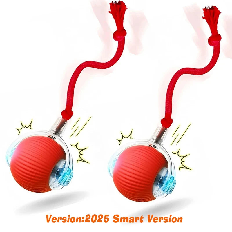 New Dog Interactive Ball Toy